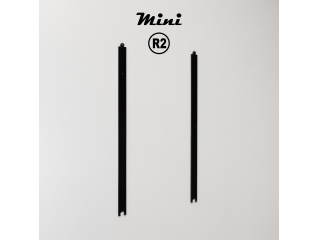 Mini R2 - RAL 9005 Noir foncé aspect mat